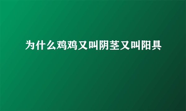 为什么鸡鸡又叫阴茎又叫阳具