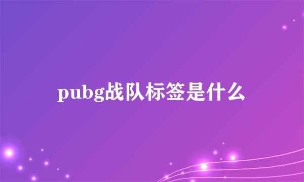 pubg战队标签是什么