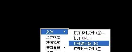 呆呆播放器怎么看片\设置\打开种子和磁力链接？