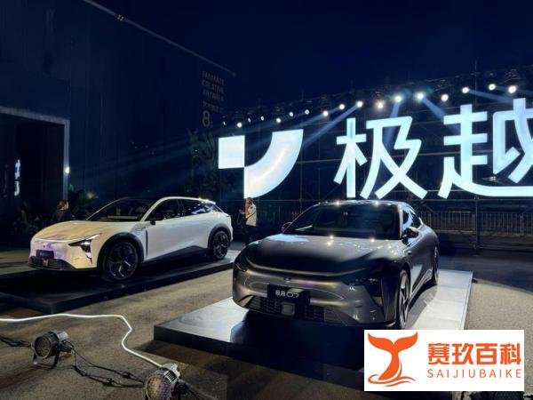 困局与救赎：极越CEO夏一平的个体命运与企业沉浮录