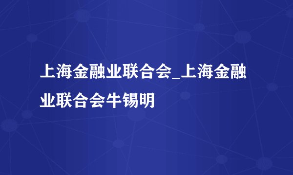 上海金融业联合会_上海金融业联合会牛锡明