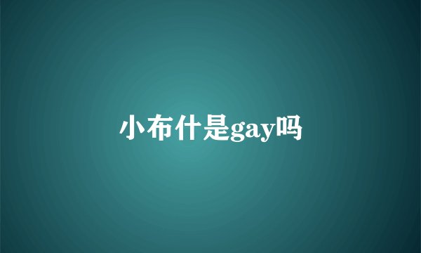 小布什是gay吗