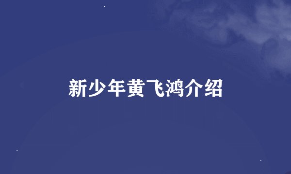 新少年黄飞鸿介绍