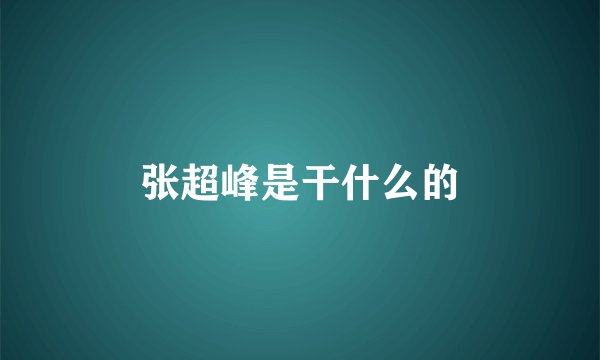 张超峰是干什么的
