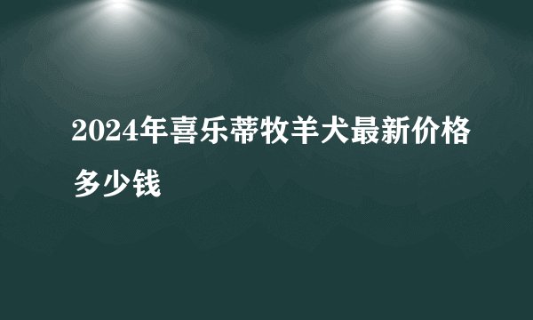 2024年喜乐蒂牧羊犬最新价格多少钱