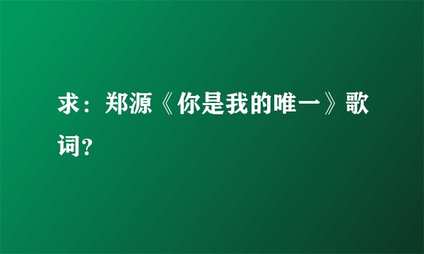 求：郑源《你是我的唯一》歌词？