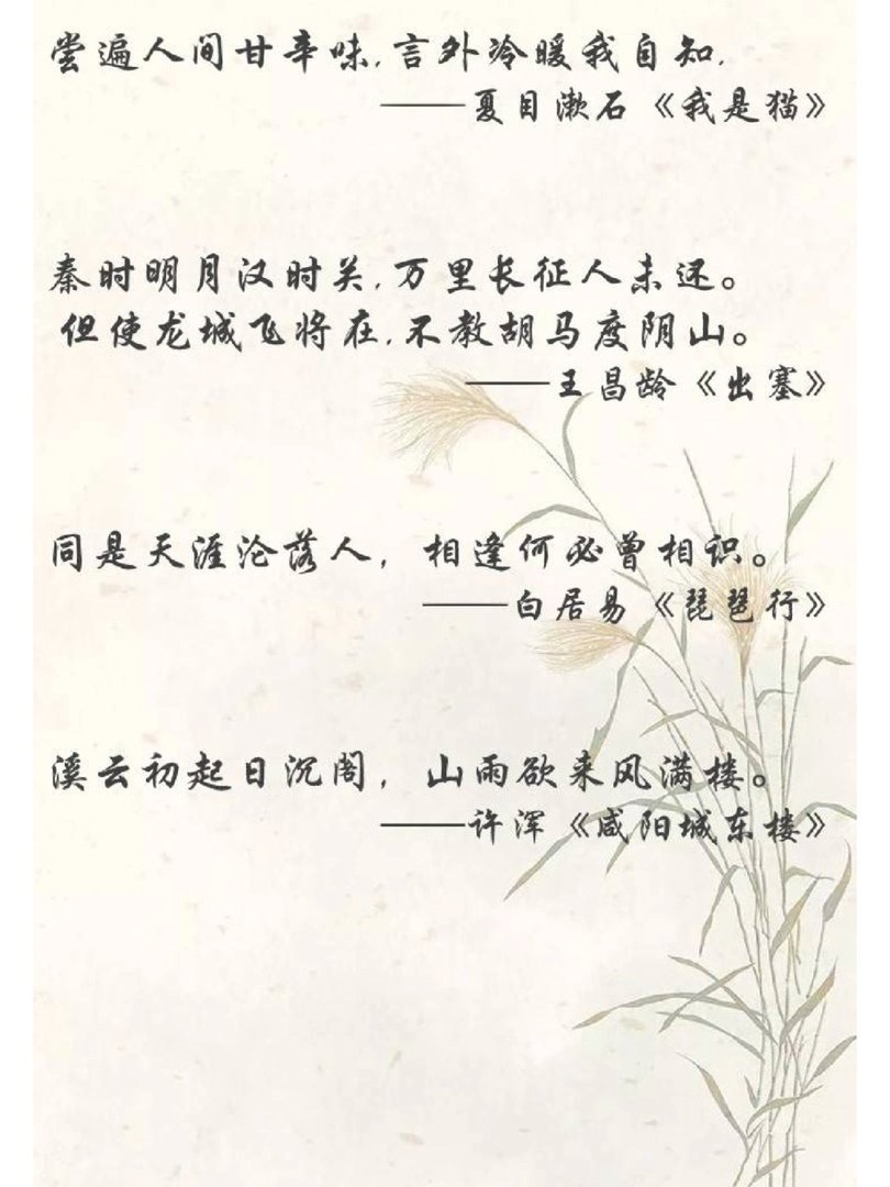人间绝句:沉醉其中