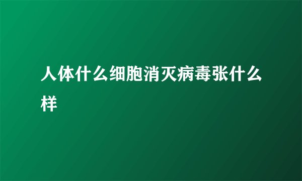 人体什么细胞消灭病毒张什么样