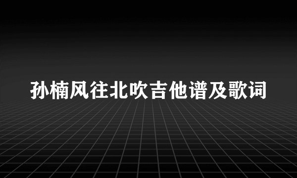 孙楠风往北吹吉他谱及歌词