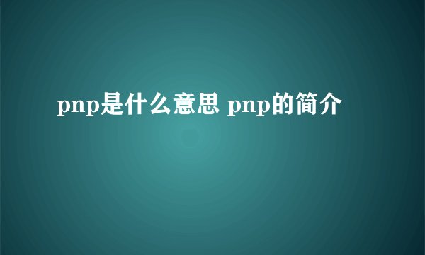 pnp是什么意思 pnp的简介