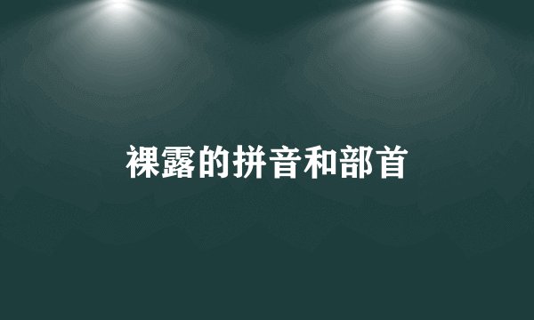 裸露的拼音和部首