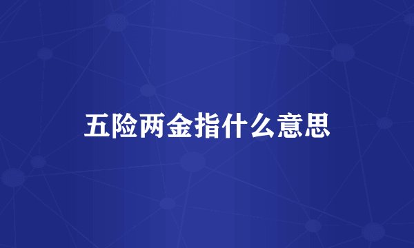 五险两金指什么意思