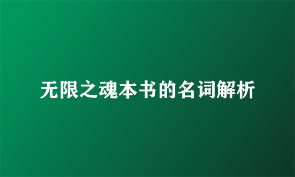 无限之魂本书的名词解析