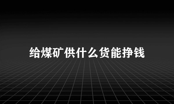 给煤矿供什么货能挣钱