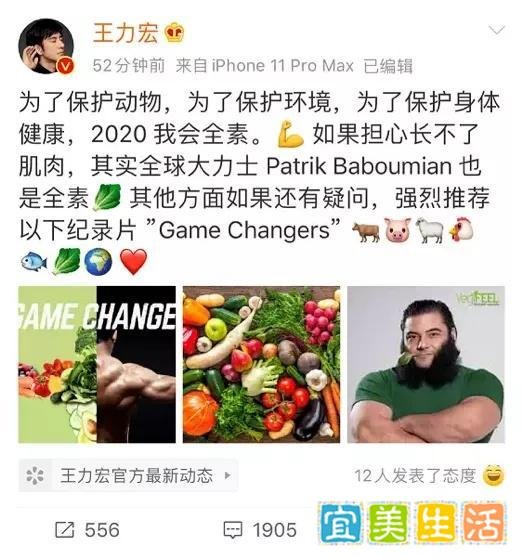世界无肉日 | 不开荤,就爱吃素!