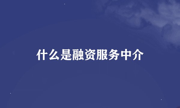 什么是融资服务中介