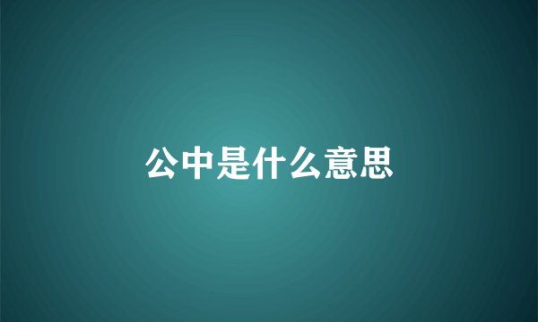公中是什么意思
