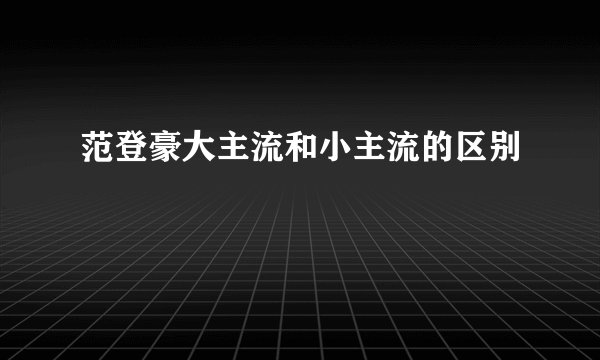 范登豪大主流和小主流的区别