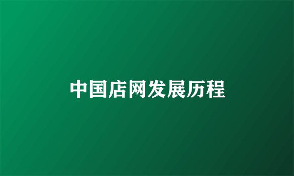 中国店网发展历程