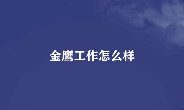 金鹰工作怎么样
