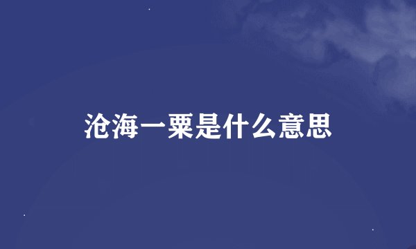 沧海一粟是什么意思