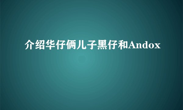 介绍华仔俩儿子黑仔和Andox