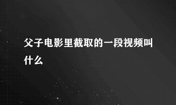 父子电影里截取的一段视频叫什么