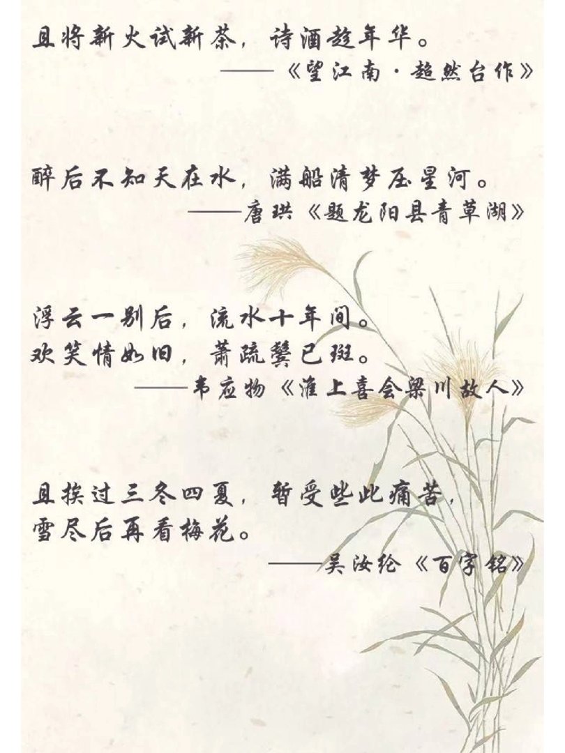 人间绝句:沉醉其中