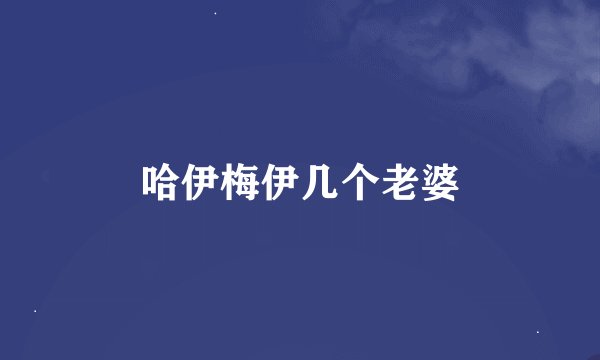 哈伊梅伊几个老婆
