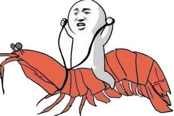 皮皮虾我们走顺口溜是什么？
