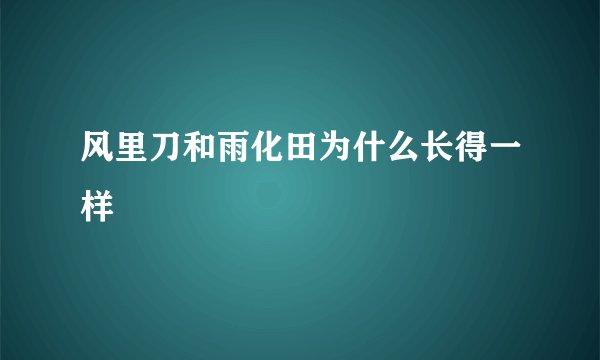风里刀和雨化田为什么长得一样