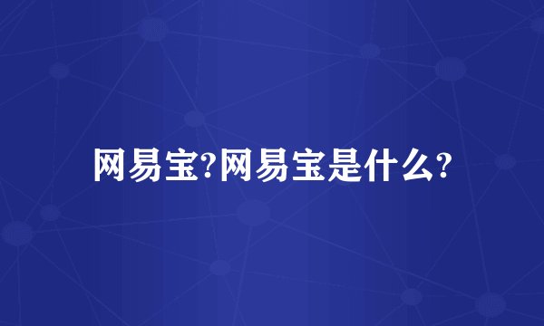 网易宝?网易宝是什么?