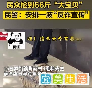 民众捡到66斤“大宝贝”，民警：快安排一波“反诈宣传”