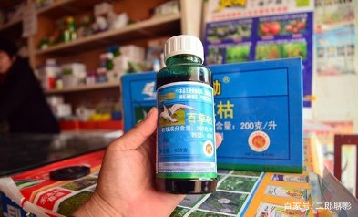 河南郑州女孩喝下百草枯连续抢救四天,目前这名女孩的情况如何了?