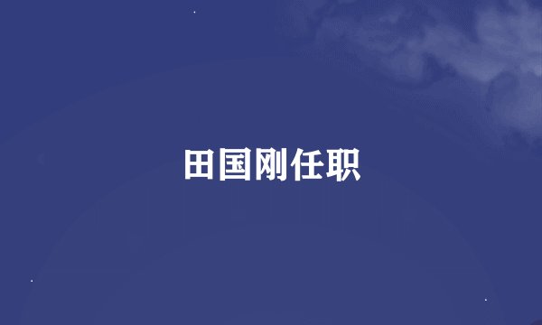 田国刚任职