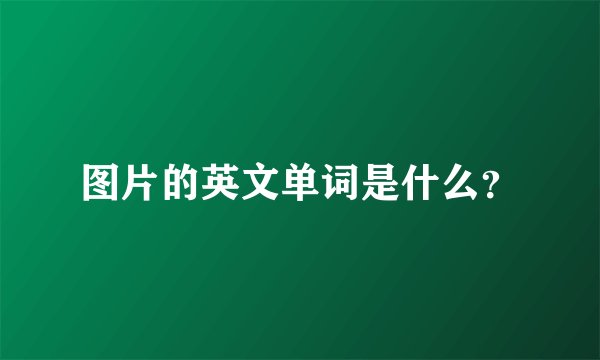 图片的英文单词是什么？