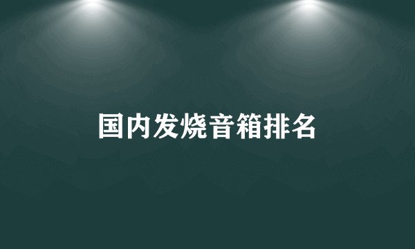 国内发烧音箱排名