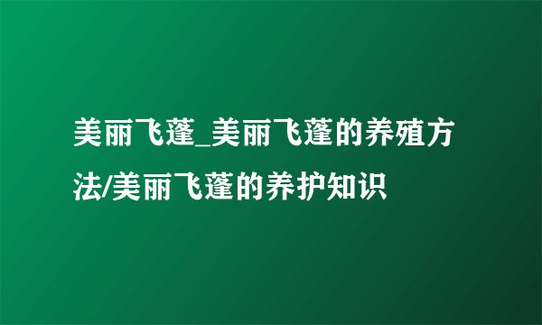 美丽飞蓬_美丽飞蓬的养殖方法/美丽飞蓬的养护知识