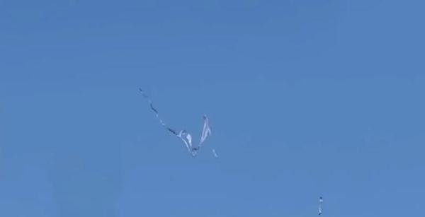 日本上空拍到像“龙”的神秘飞行物?可能只是塑料薄膜而已