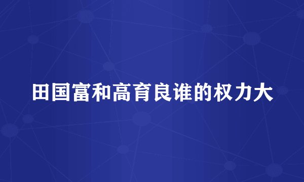 田国富和高育良谁的权力大