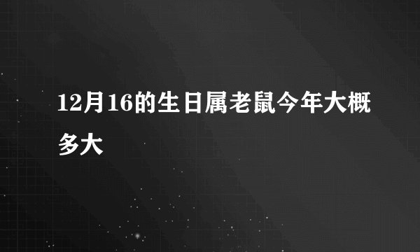 12月16的生日属老鼠今年大概多大