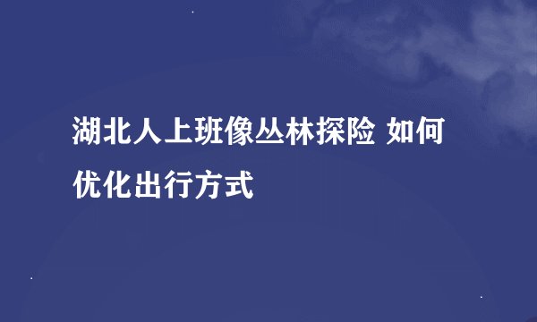 湖北人上班像丛林探险 如何优化出行方式