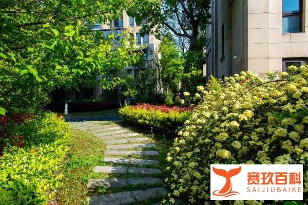 上海闵行某小区，封控75天后，终于可以下楼了