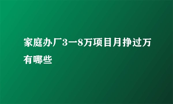 家庭办厂3一8万项目月挣过万有哪些