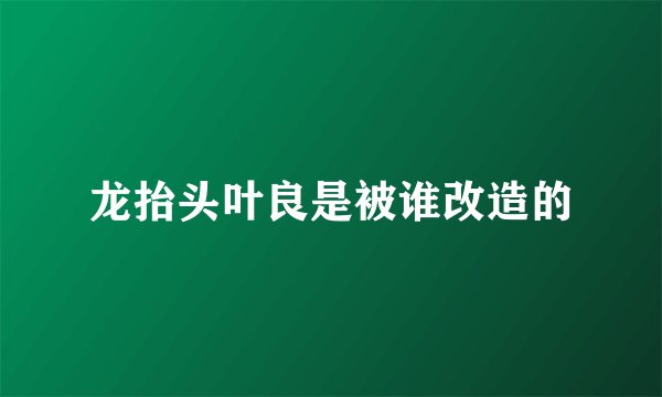 龙抬头叶良是被谁改造的