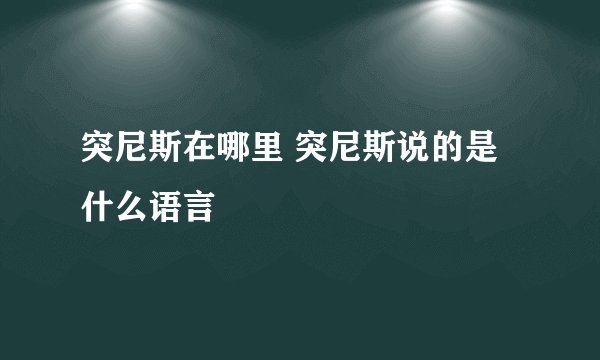 突尼斯在哪里 突尼斯说的是什么语言