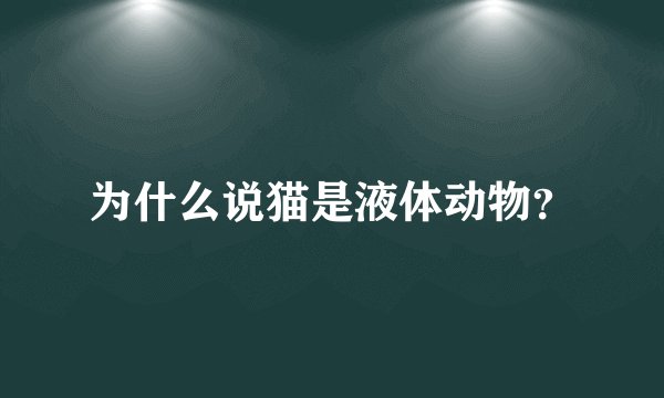 为什么说猫是液体动物？