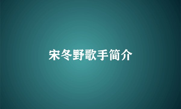 宋冬野歌手简介