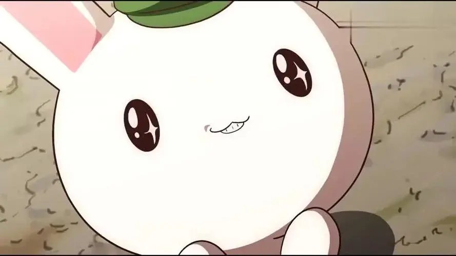 霸气的兔子有哪些？