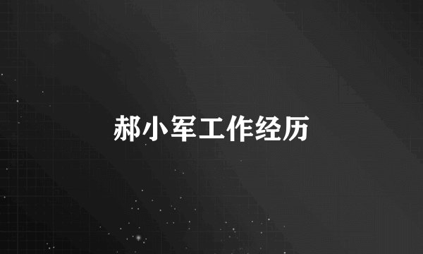 郝小军工作经历